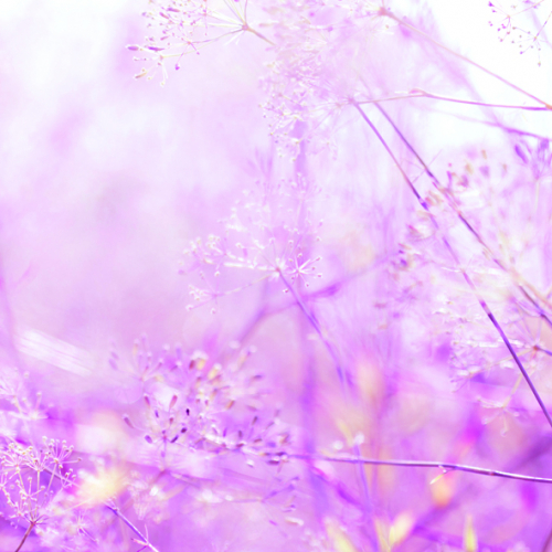 Immagine 10