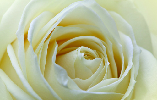Immagine 6